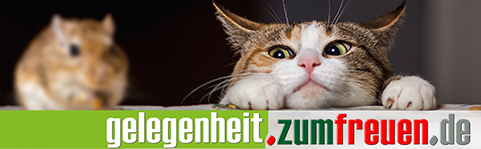 zumfreuen domain